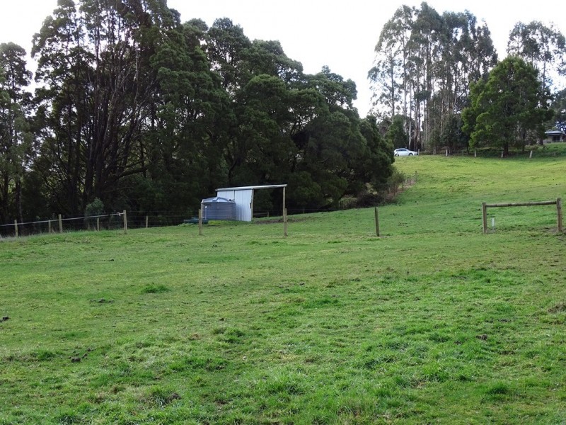 44 Main Road, Beech Forest VIC 3237