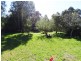 57 Grant Street, Forrest VIC 3236