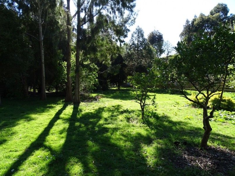 57 Grant Street, Forrest VIC 3236