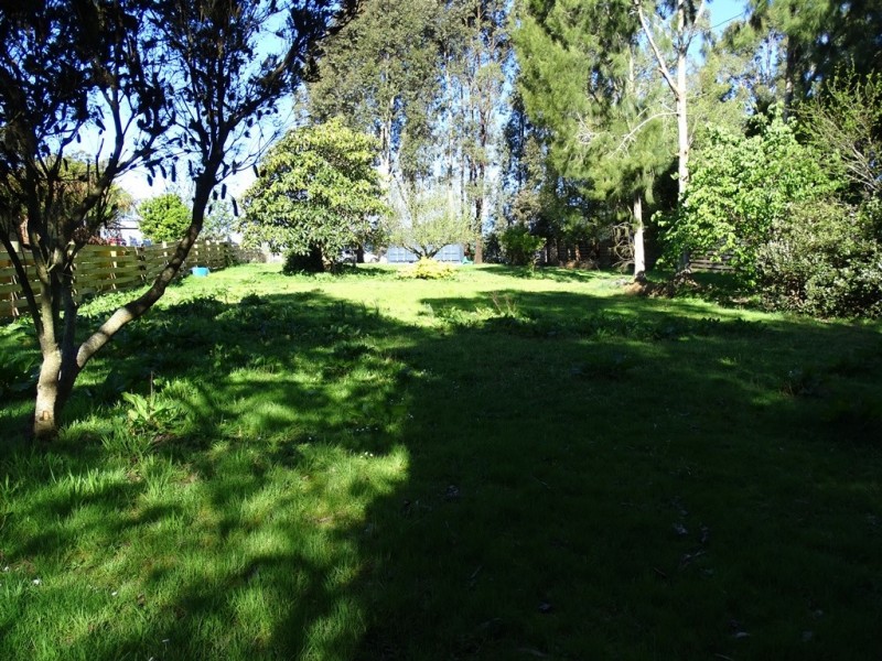 57 Grant Street, Forrest VIC 3236
