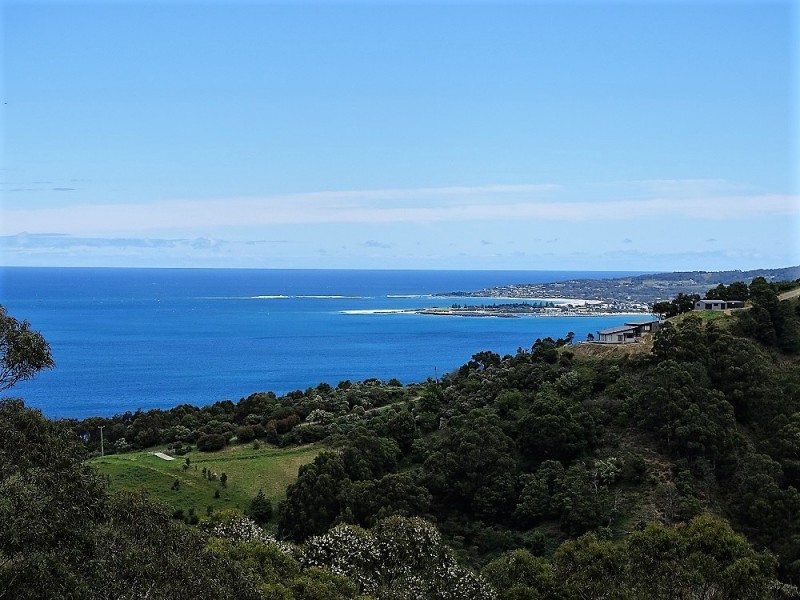 270 Skenes Creek Road, Skenes Creek VIC 3233