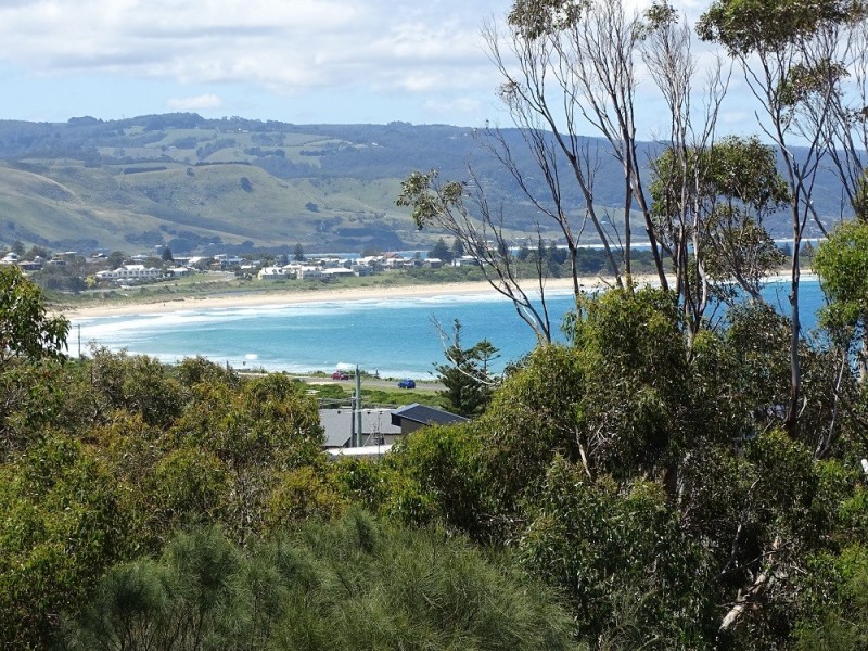 3 McMinn Court, Marengo VIC 3233