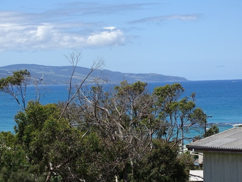 3 McMinn Court, Marengo VIC 3233