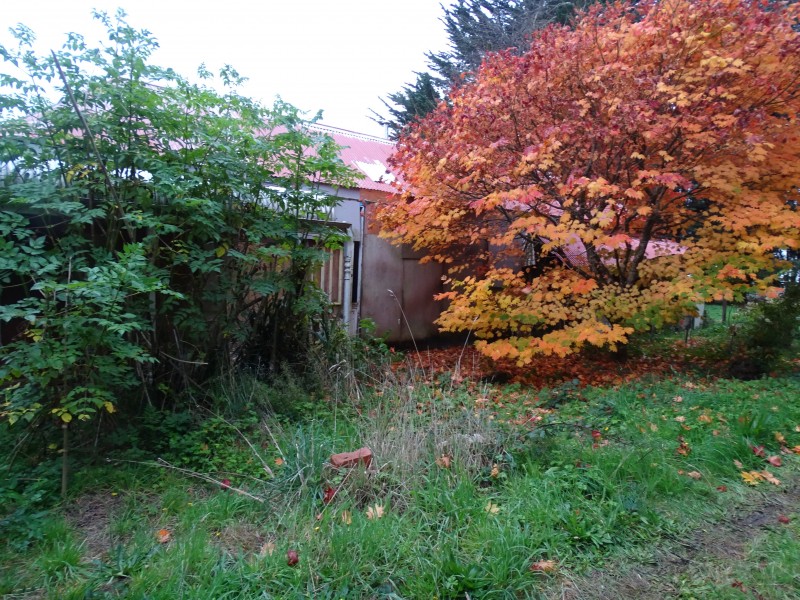 71-73 Main Road, Beech Forest VIC 3237