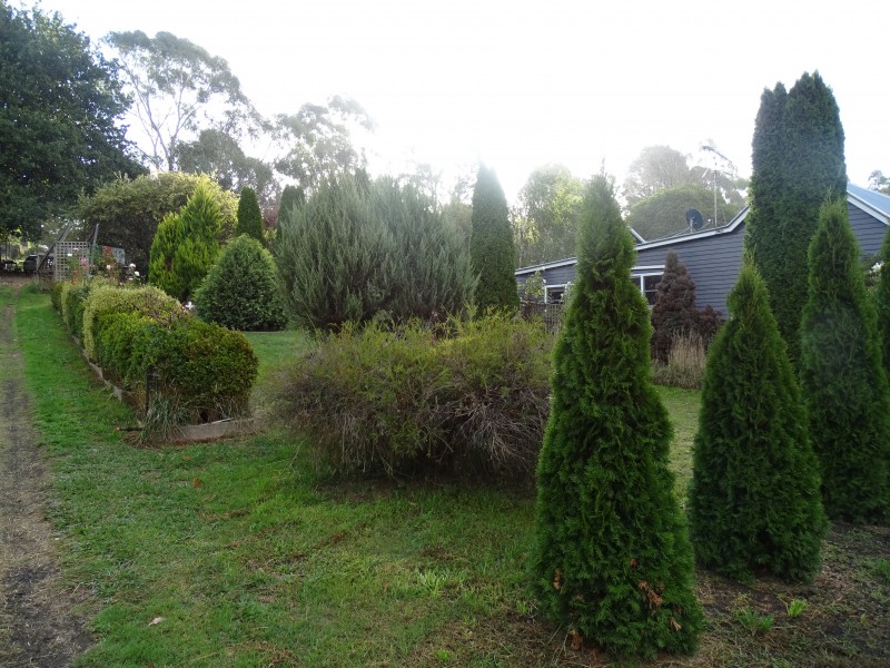 30 Station Street, Forrest VIC 3236