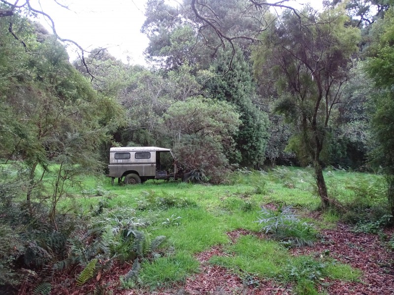 300 Wild Dog Access Track, Apollo Bay VIC 3233