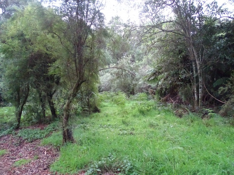 300 Wild Dog Access Track, Apollo Bay VIC 3233