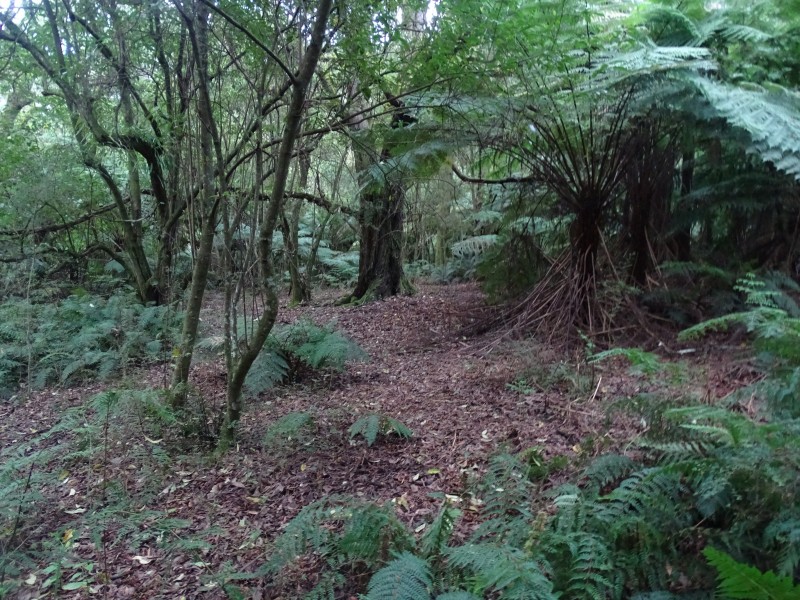 300 Wild Dog Access Track, Apollo Bay VIC 3233