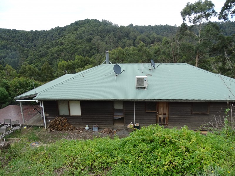 390 Wild Dog Road, Apollo Bay VIC 3233