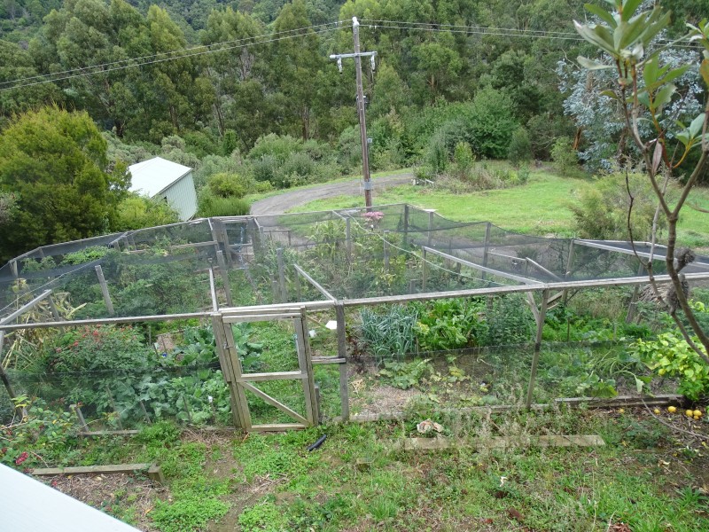 390 Wild Dog Road, Apollo Bay VIC 3233