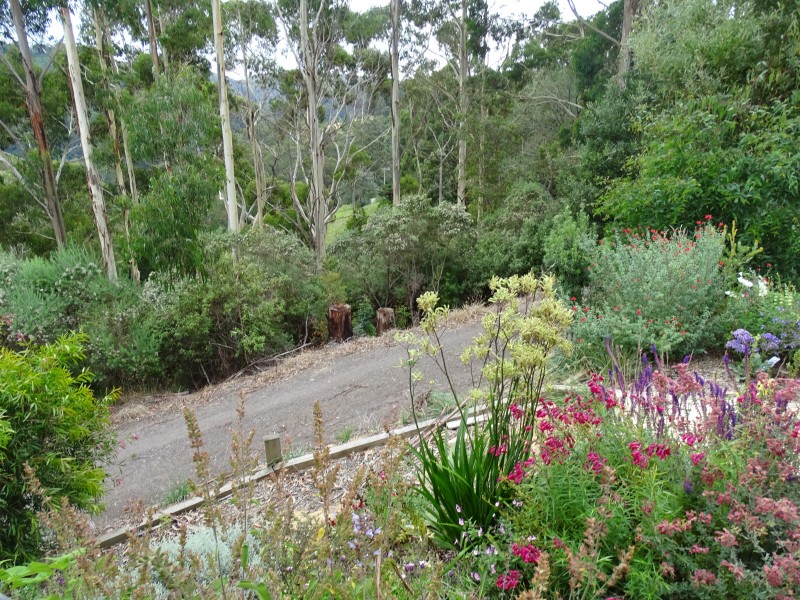 390 Wild Dog Road, Apollo Bay VIC 3233