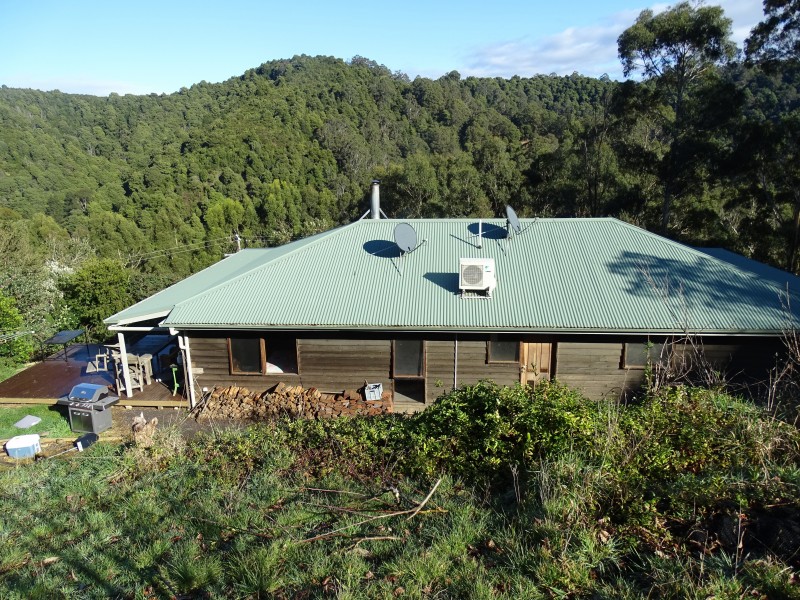 390 Wild Dog Road, Apollo Bay VIC 3233