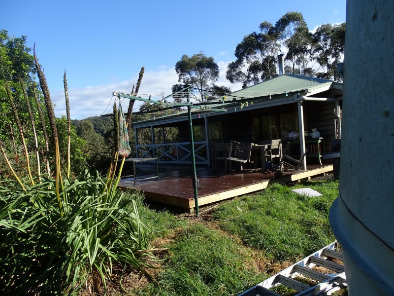 390 Wild Dog Road, Apollo Bay VIC 3233