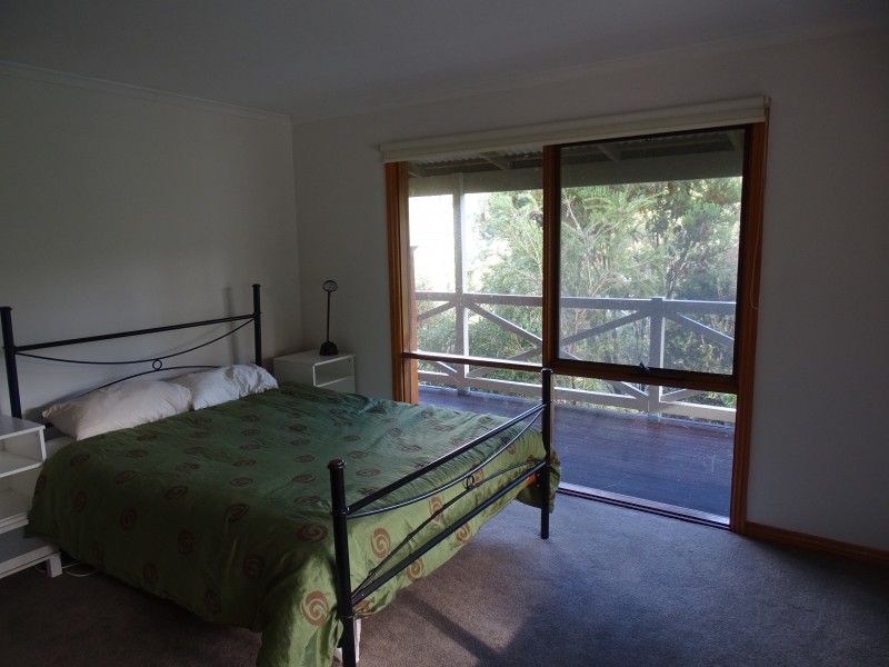 390 Wild Dog Road, Apollo Bay VIC 3233