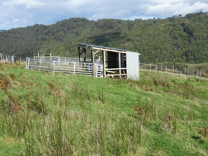 390 Wild Dog Road, Apollo Bay VIC 3233