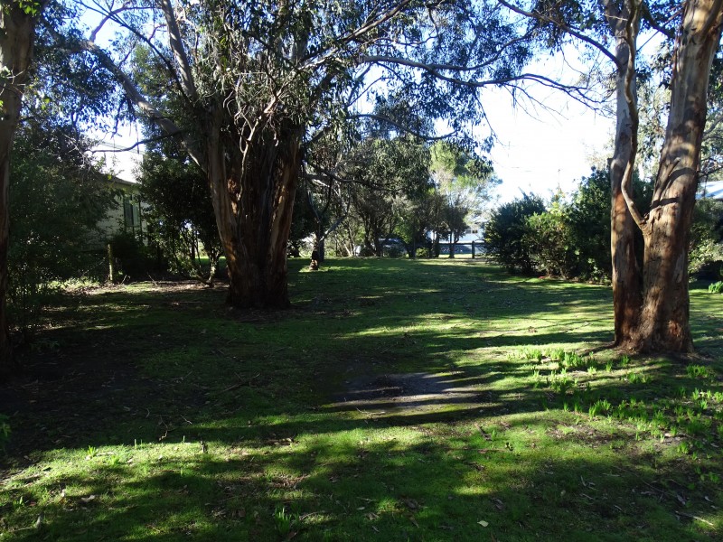 16 Point Avenue, Skenes Creek VIC 3233