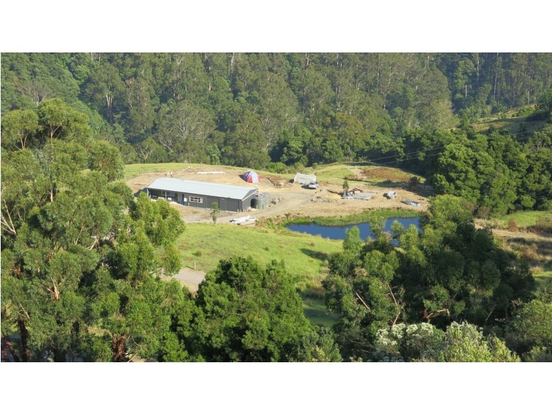 571 WILD DOG ROAD, Apollo Bay VIC 3233