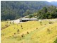 571 WILD DOG ROAD, Apollo Bay VIC 3233