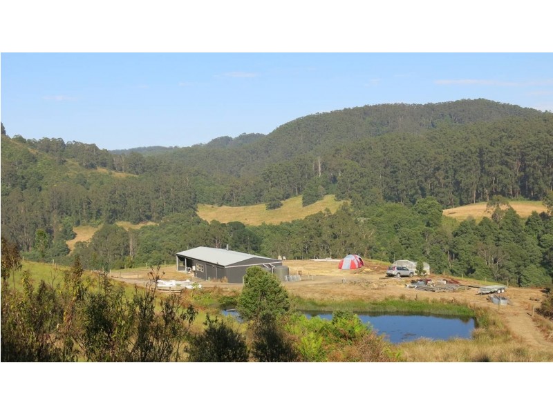 571 WILD DOG ROAD, Apollo Bay VIC 3233