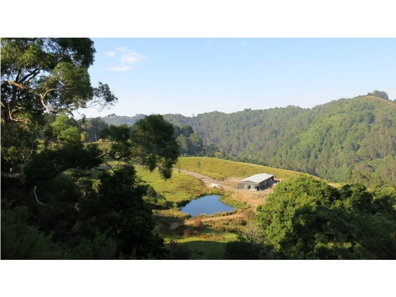 571 WILD DOG ROAD, Apollo Bay VIC 3233