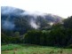 571 WILD DOG ROAD, Apollo Bay VIC 3233