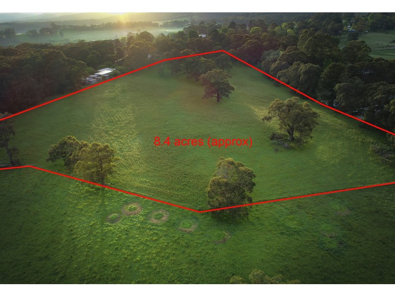 3036 Colac-Forrest Road, Forrest VIC 3236