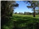 3036 Colac-Forrest Road, Forrest VIC 3236