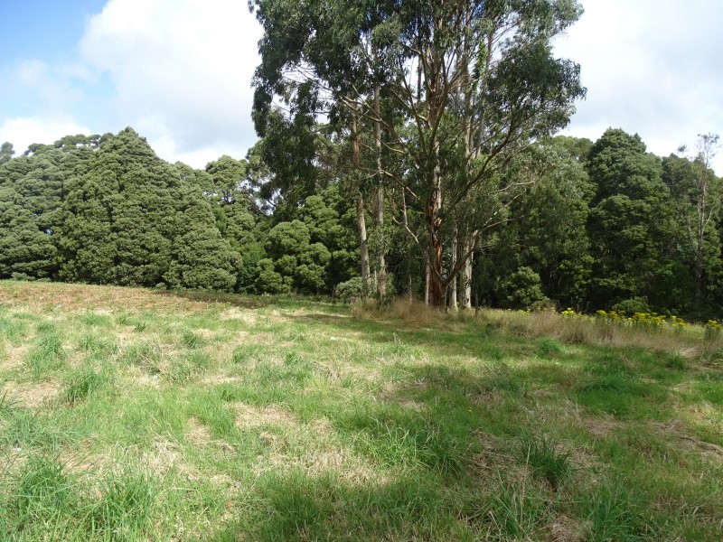 Lot 2, 4175 Great Ocean Road,, Lavers Hill VIC 3238
