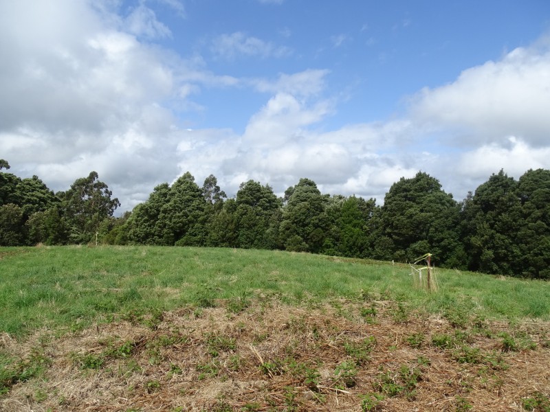 Lot 2, 4175 Great Ocean Road,, Lavers Hill VIC 3238