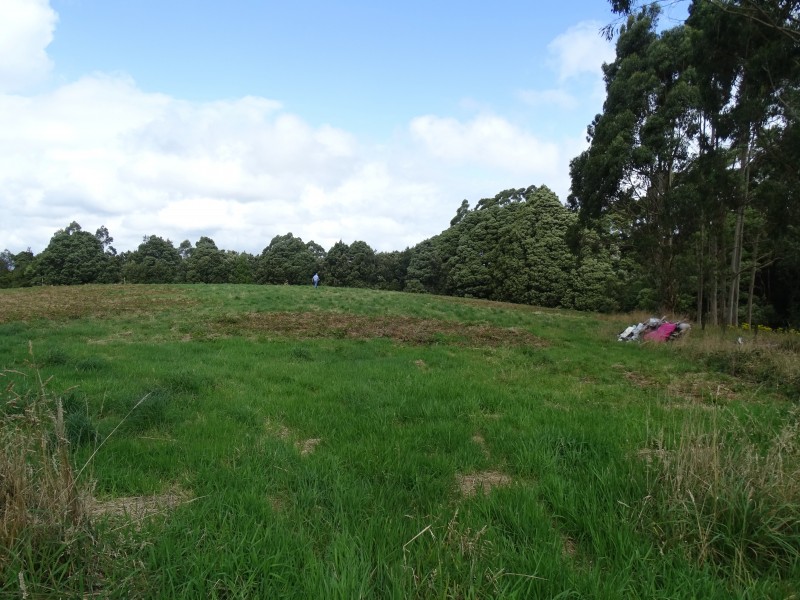 Lot 2, 4175 Great Ocean Road,, Lavers Hill VIC 3238