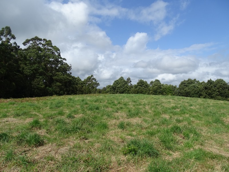 Lot 2, 4175 Great Ocean Road,, Lavers Hill VIC 3238