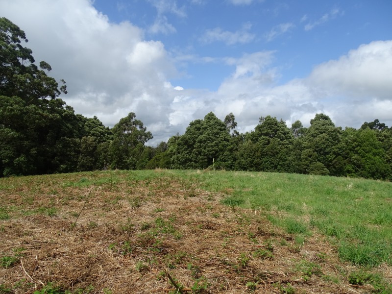 Lot 2, 4175 Great Ocean Road,, Lavers Hill VIC 3238