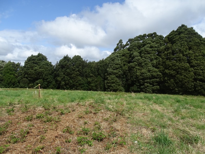 Lot 2, 4175 Great Ocean Road,, Lavers Hill VIC 3238