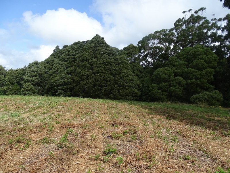 Lot 2, 4175 Great Ocean Road,, Lavers Hill VIC 3238