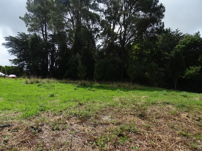 Lot 2, 4175 Great Ocean Road,, Lavers Hill VIC 3238