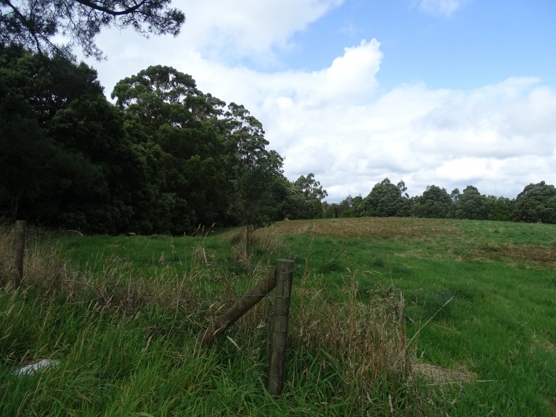 Lot 2, 4175 Great Ocean Road,, Lavers Hill VIC 3238