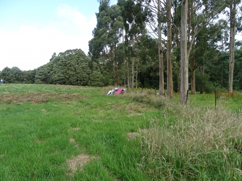 Lot 2, 4175 Great Ocean Road,, Lavers Hill VIC 3238