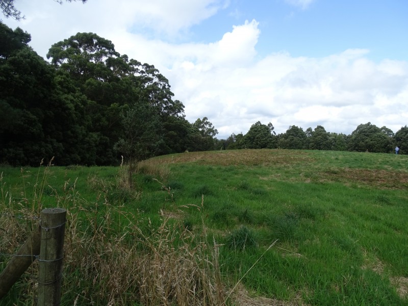 Lot 2, 4175 Great Ocean Road,, Lavers Hill VIC 3238