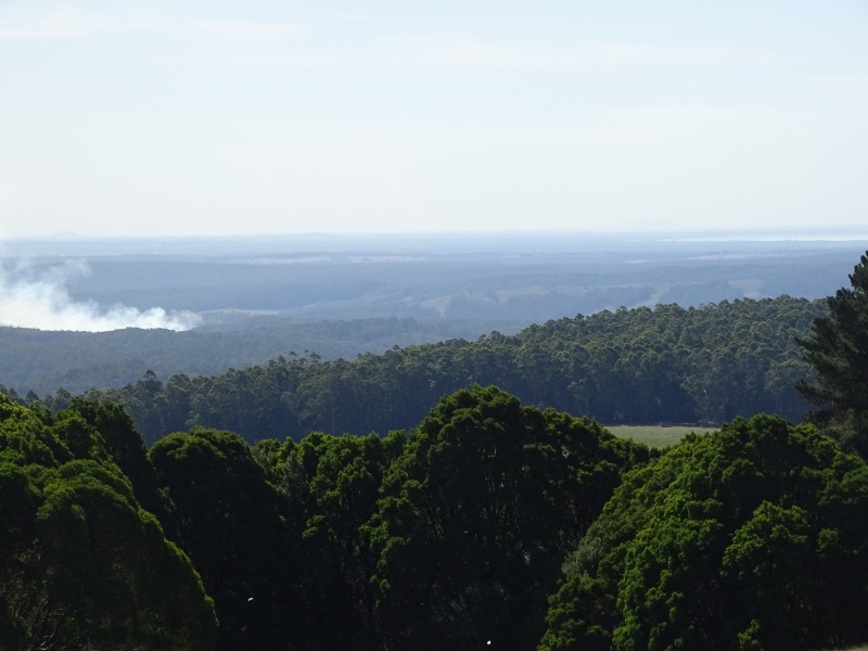 16 Beech Forest-Lavers Hill Road, Beech Forest VIC 3237