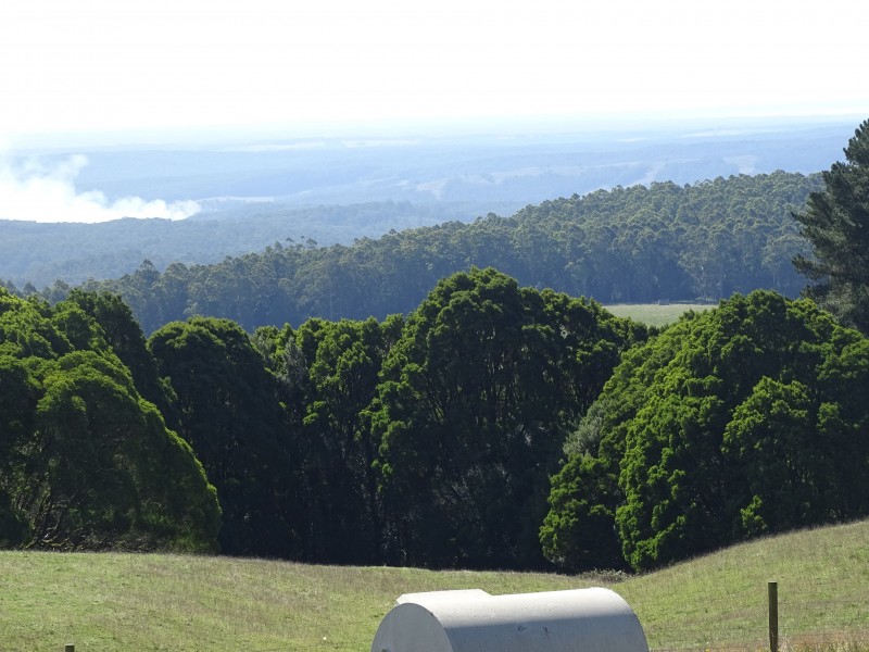 16 Beech Forest-Lavers Hill Road, Beech Forest VIC 3237