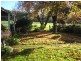 1240 Wild Dog Road, Tanybryn VIC 3249