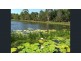 45/42-51 Wattlebird Street,, Mango Hill QLD 4509