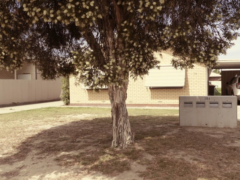 3/386 English Avenue, Lavington NSW 2641