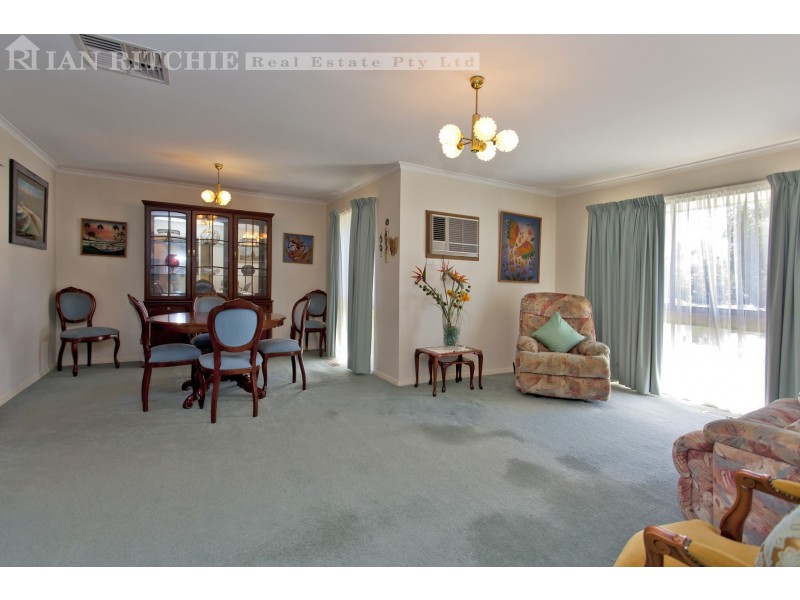 381 Elton Court, Lavington NSW 2641