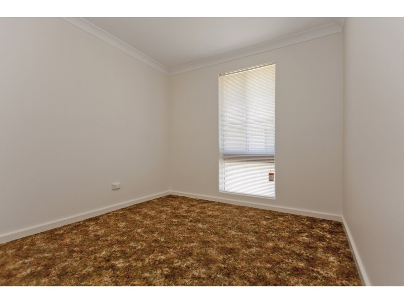 1 & 2/449 Griffith Road, Lavington NSW 2641