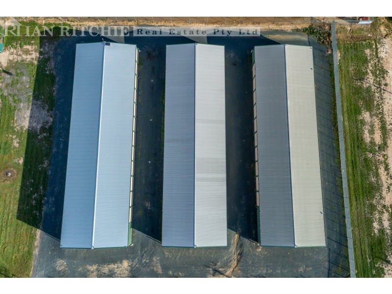 15 Stockwell Road, Jindera NSW 2642