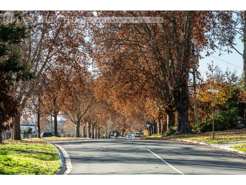 320 David Street, South Albury NSW 2640