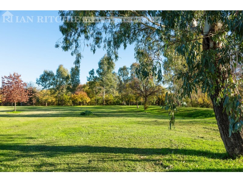 320 David Street, South Albury NSW 2640