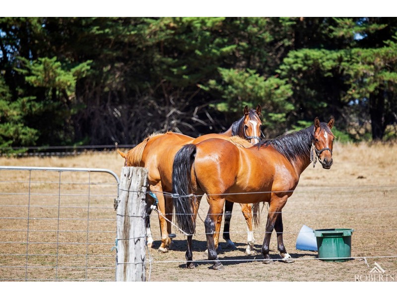 75 Sam Pearsons Road, Garvoc VIC 3265