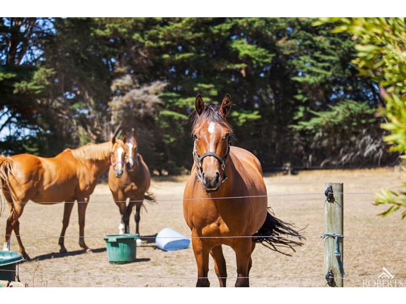 75 Sam Pearsons Road, Garvoc VIC 3265